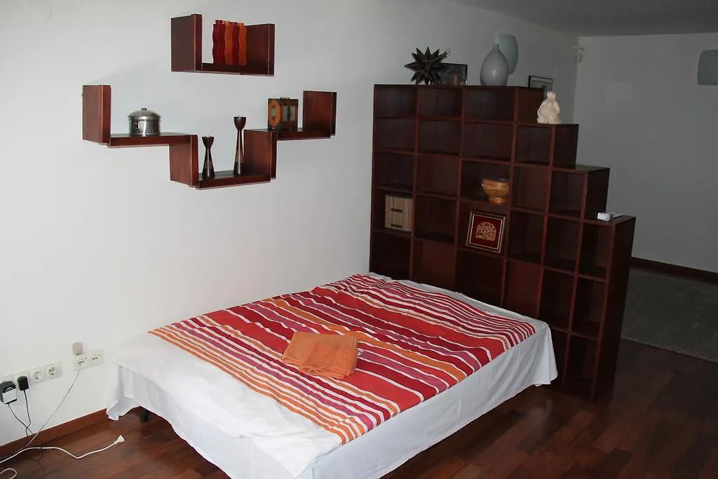 Queen Zita Apt 130 M2 Near Chain Bridge 布达佩斯 0*,